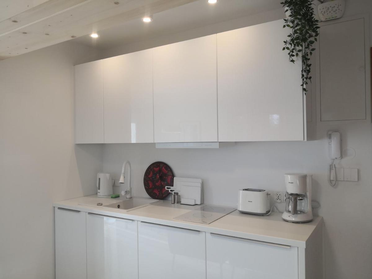 Willa Nika, Apartamenty 자코파네 외부 사진
