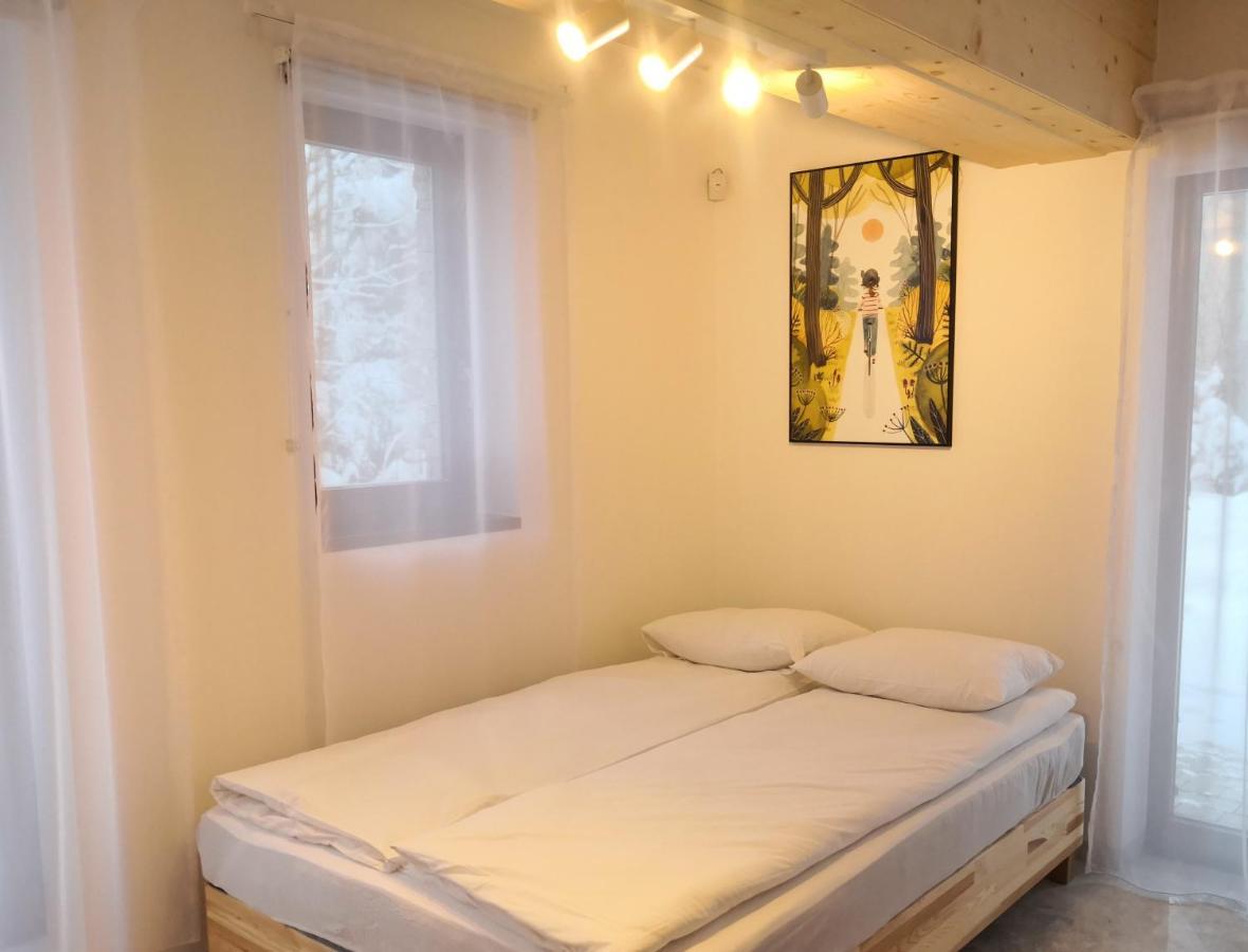 Willa Nika, Apartamenty 자코파네 외부 사진